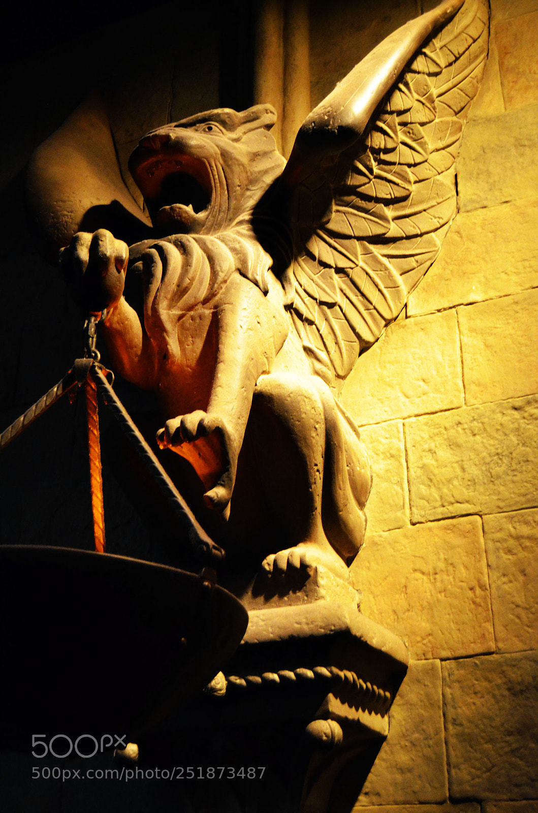 Nikon D5100 sample photo. Lion torch photography
