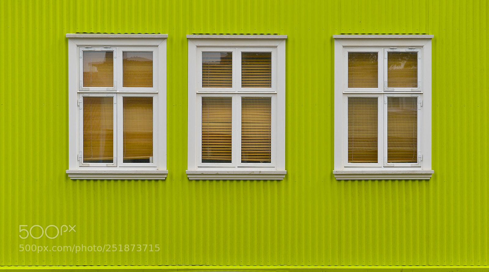 Nikon D4 sample photo. Windows photography
