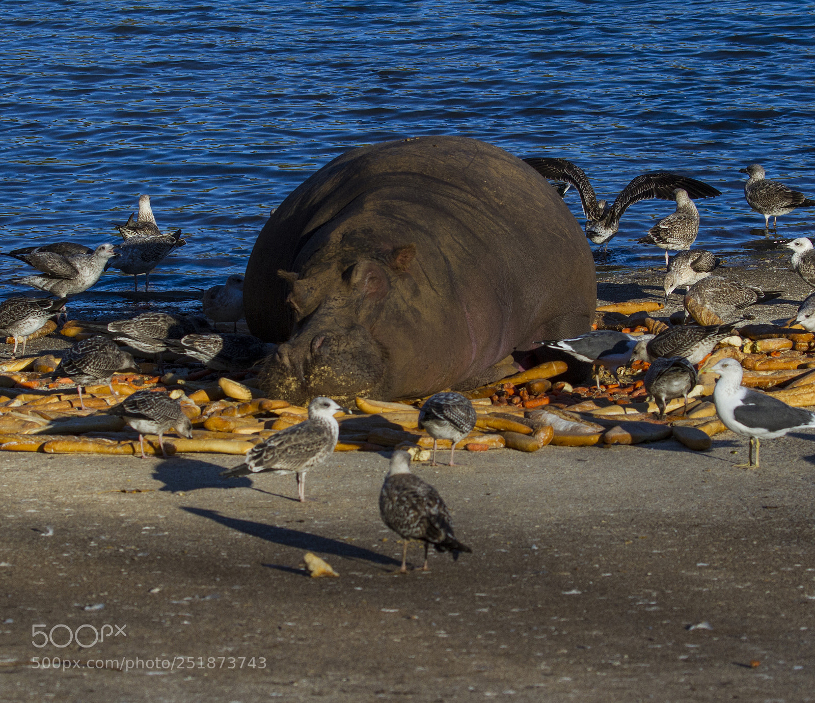 Canon EOS 7D sample photo. Mg photography
