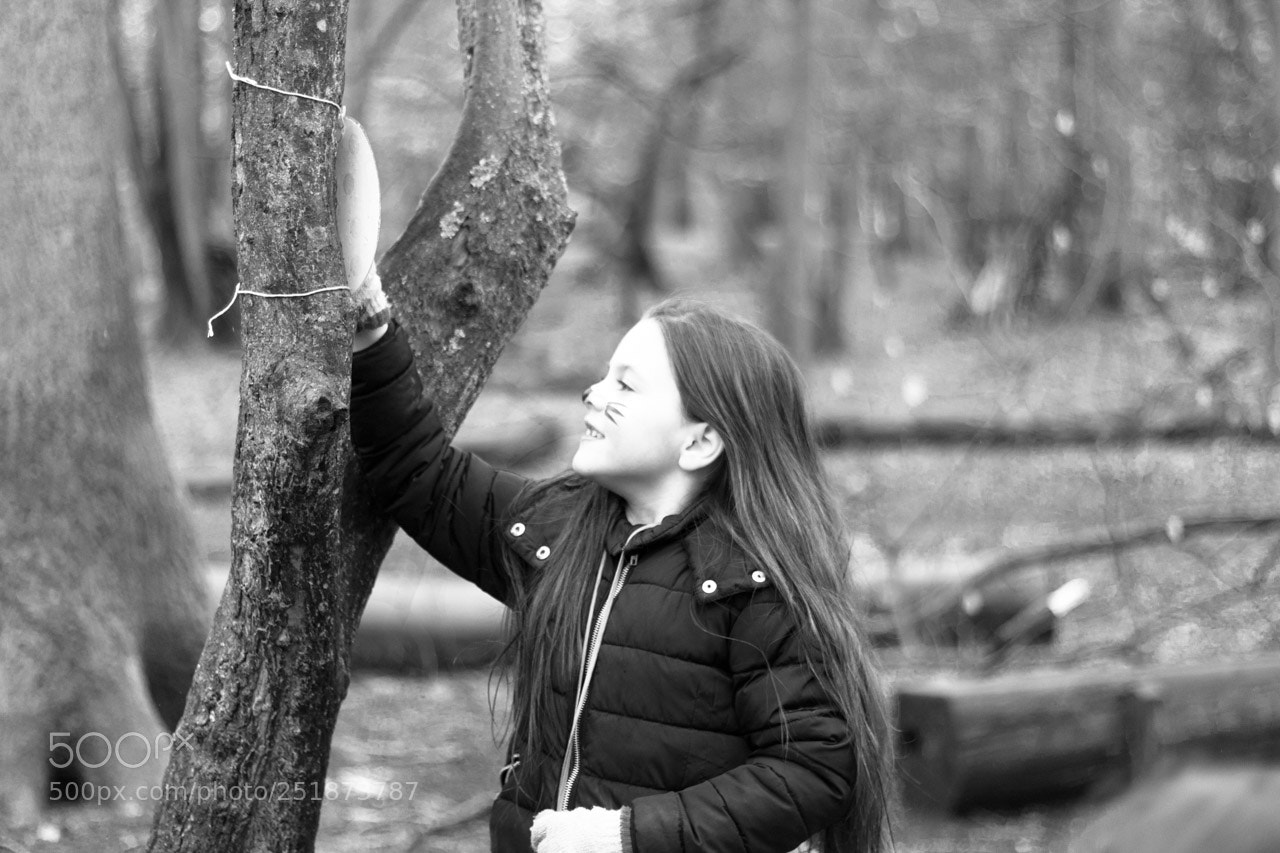 Canon EOS 450D (EOS Rebel XSi / EOS Kiss X2) sample photo. Life long photographer photography
