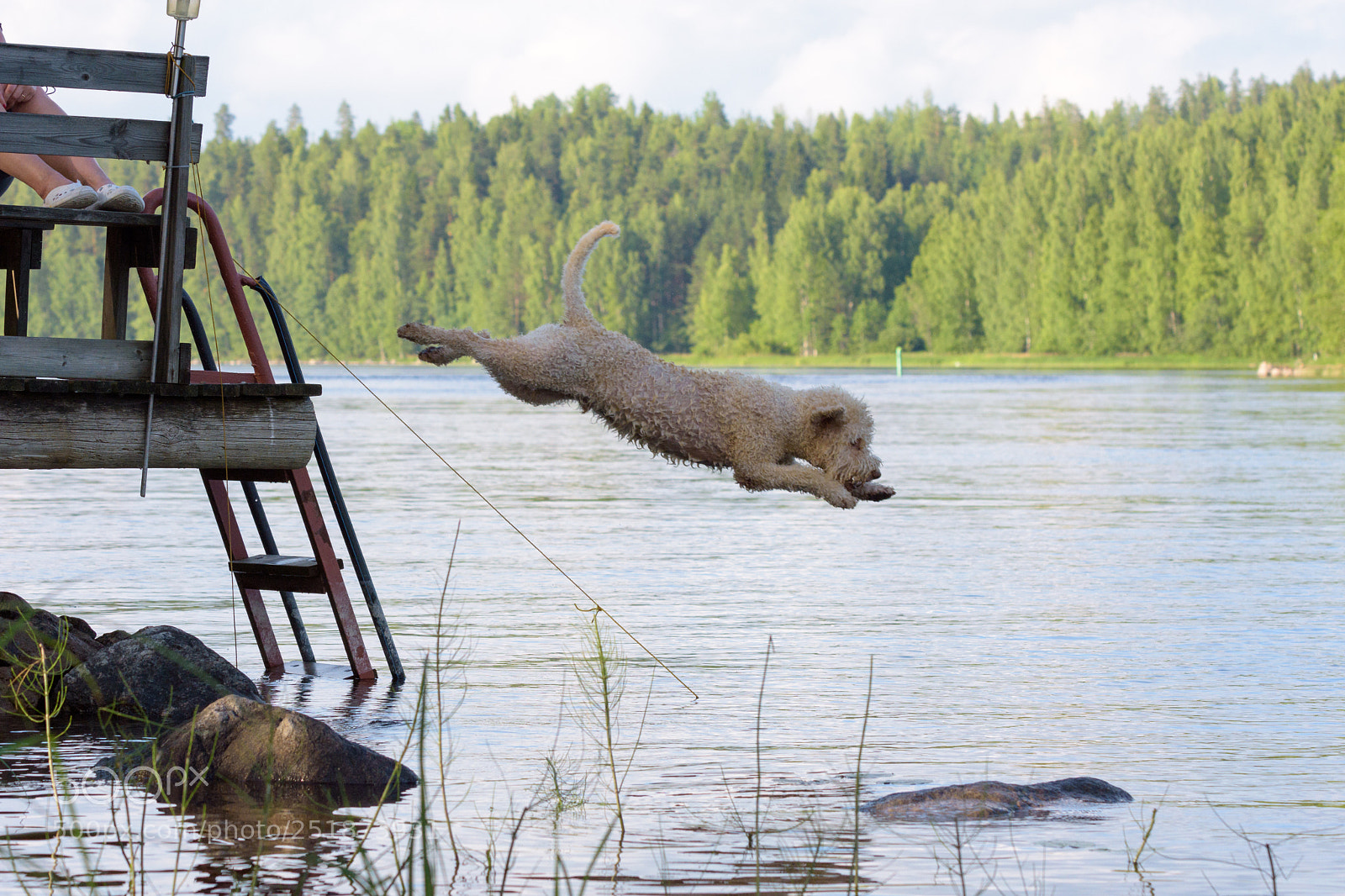 Nikon D7200 sample photo. Luca jumping into lake photography