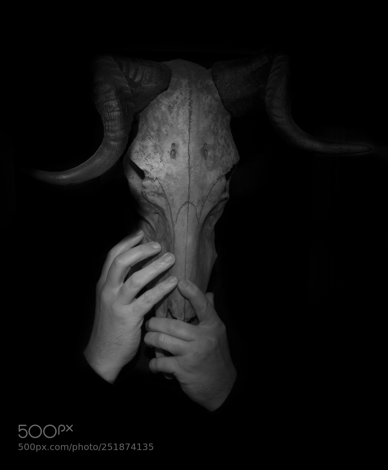 Nikon D7100 sample photo. Metamorphosis photography