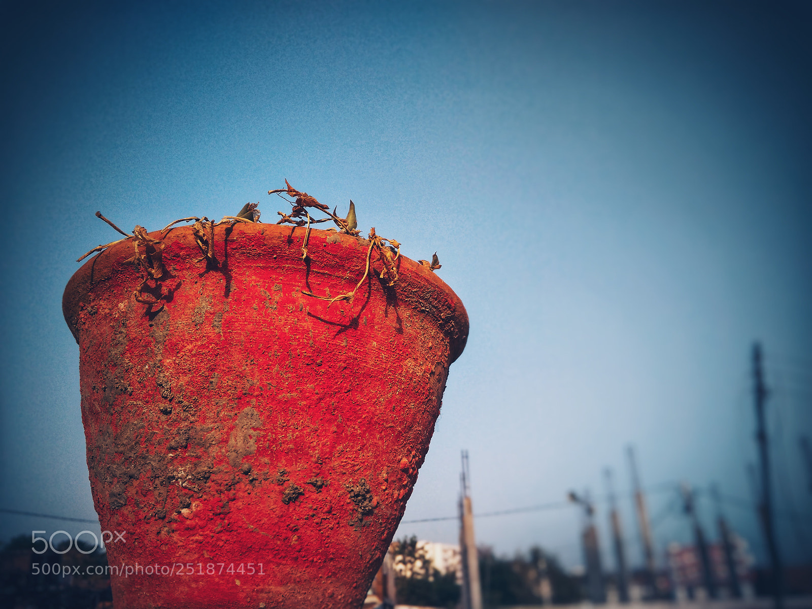 Xiaomi Redmi 4A sample photo. Stand still photography