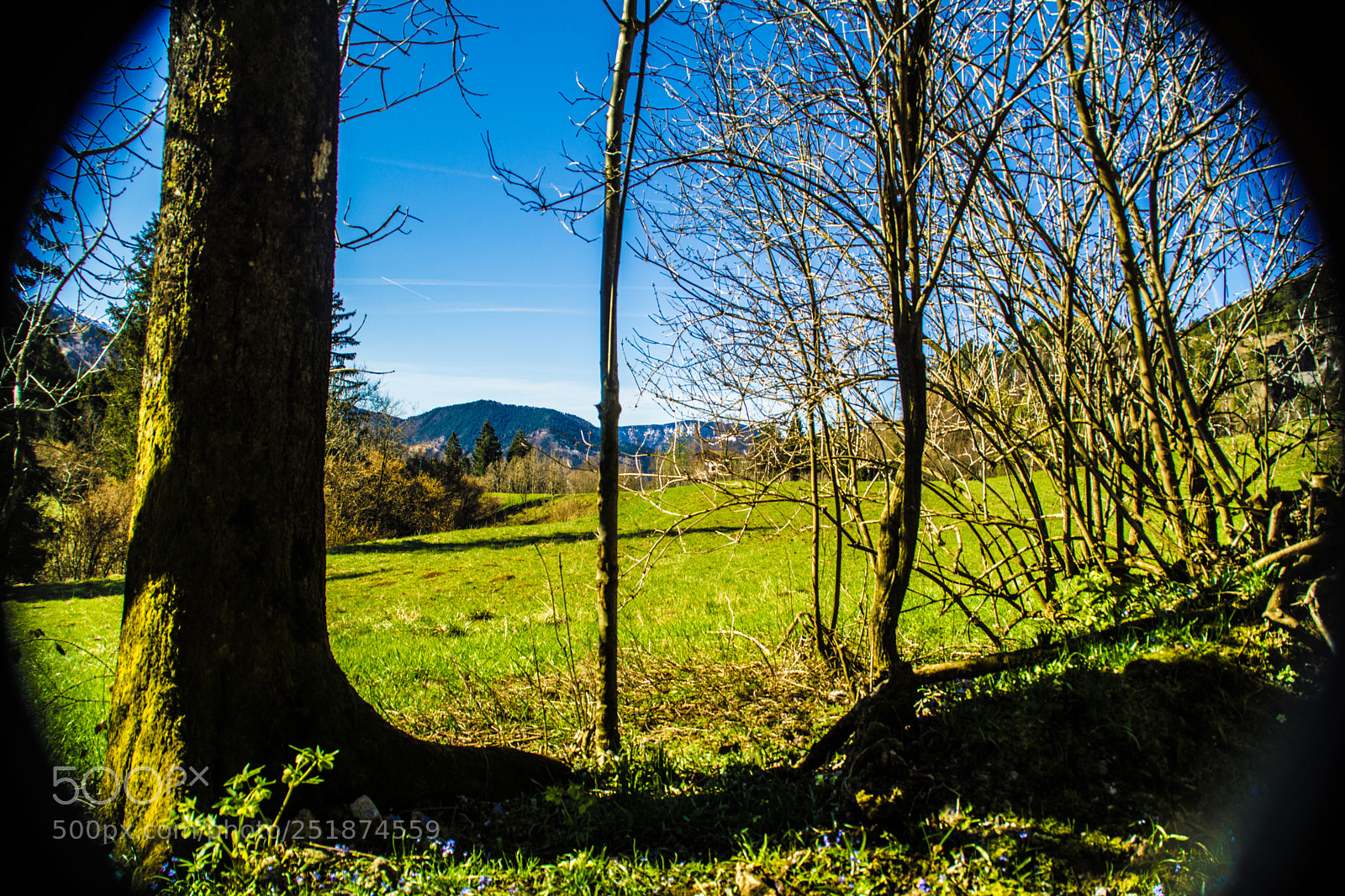 Sony a5100 sample photo. Walking to rusio photography