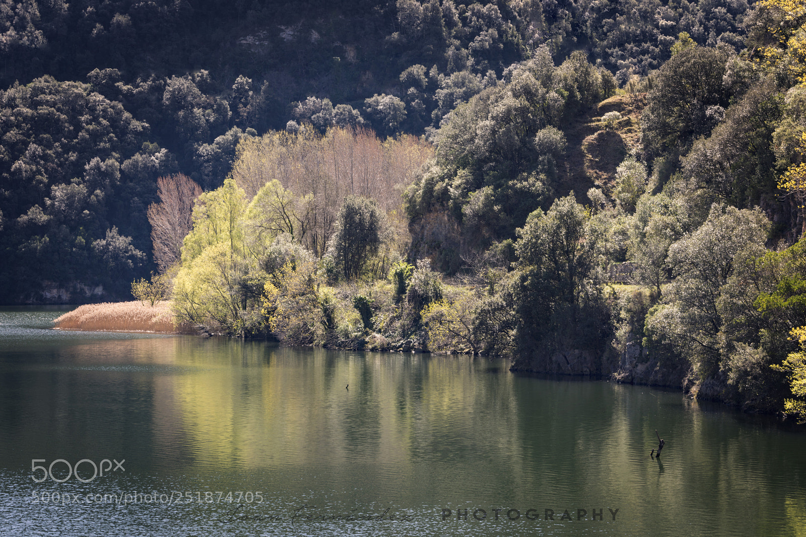 Nikon D7200 sample photo. Spring in susqueda photography