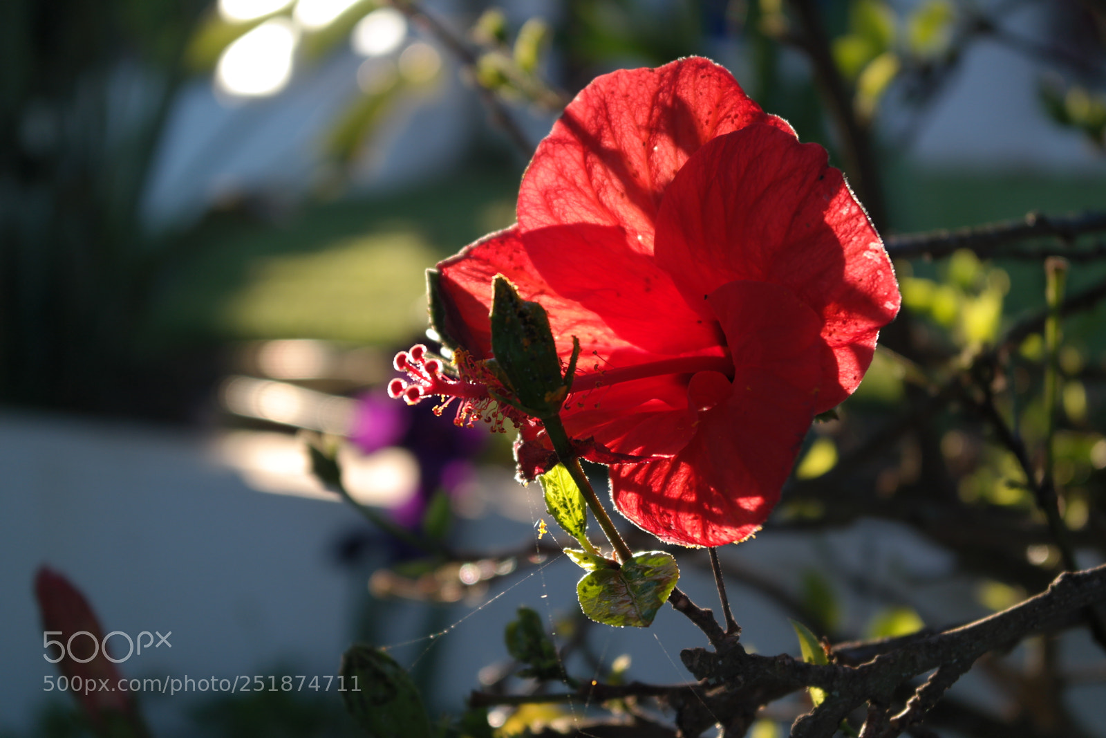 Samsung NX2000 sample photo. Lagos, portugal photography