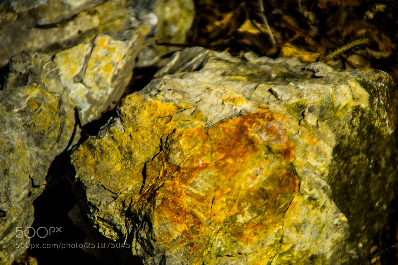 Sony a5100 sample photo. Walking to rusio photography