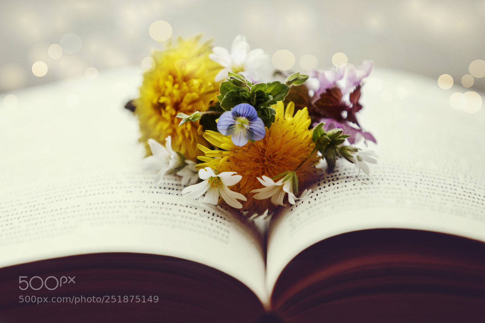 Canon EOS 80D sample photo. Romantic photography