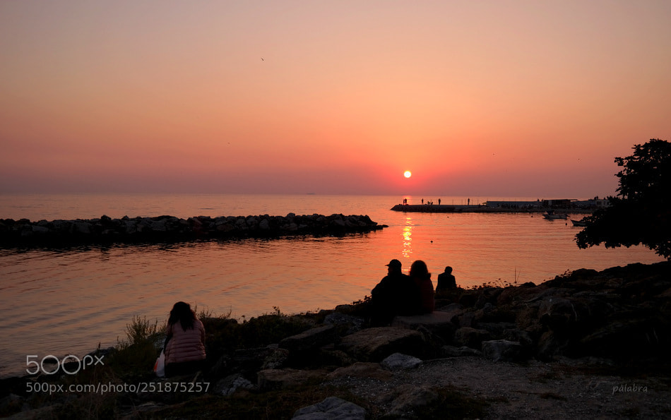 Samsung NX300 sample photo. ... photography