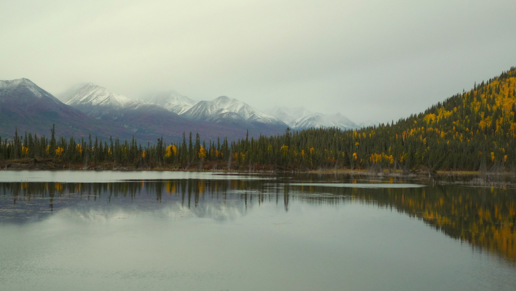 Panasonic DMC-FX500 sample photo. Reflection of indian summer in alaska photography