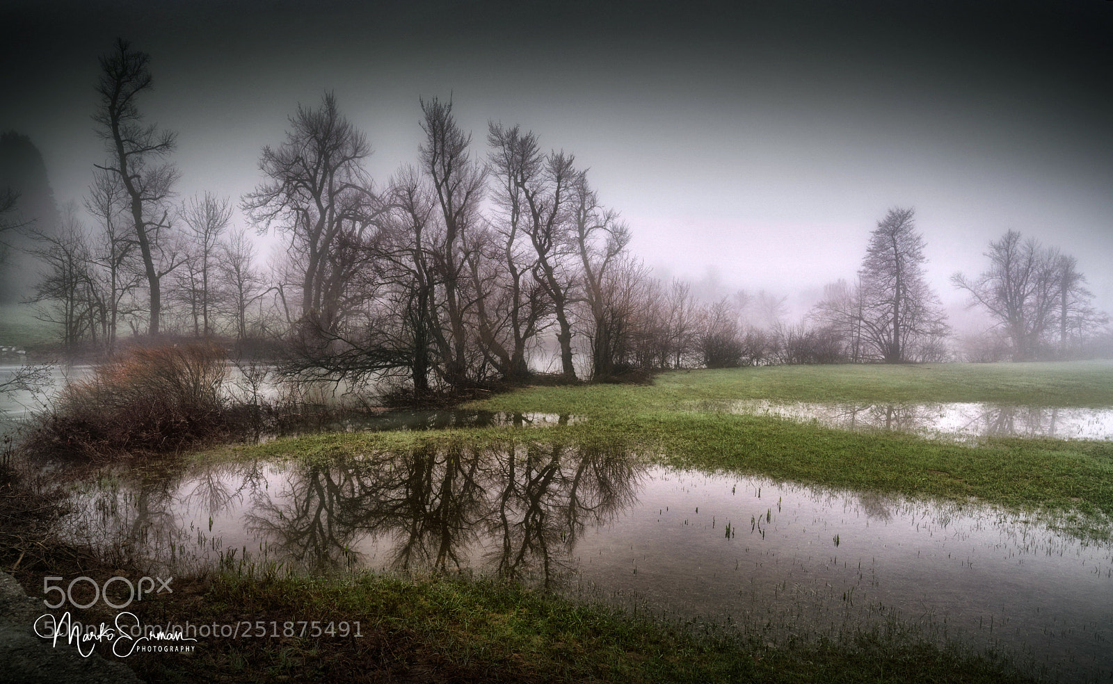 Sony a7R II sample photo. Flooded field photography