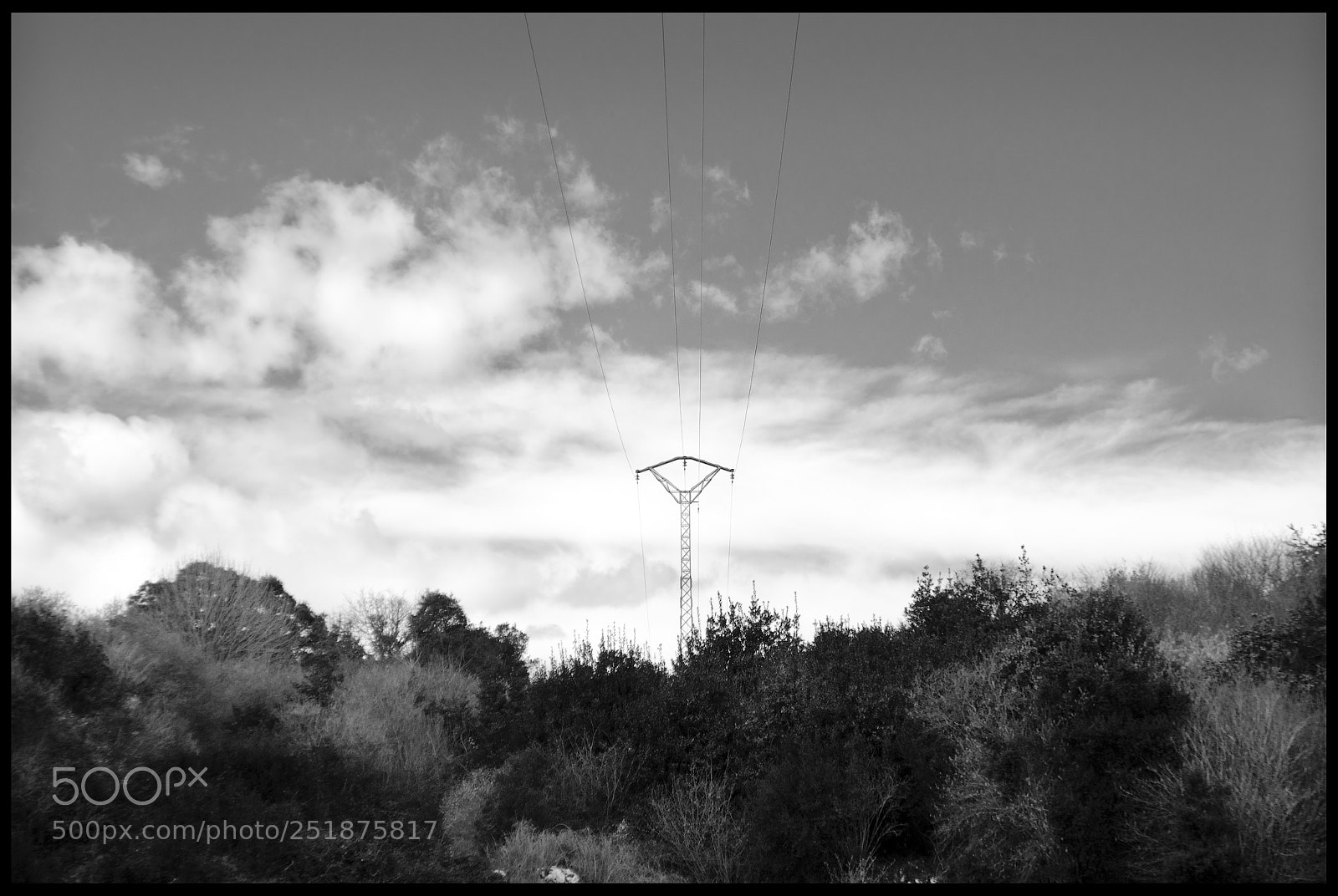 Nikon D5100 sample photo. Líneas como huella. photography