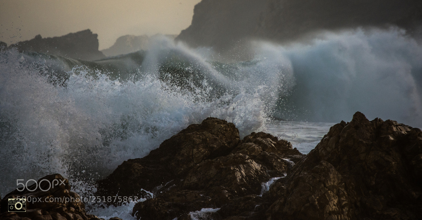 Nikon D7200 sample photo. Buckle up photography