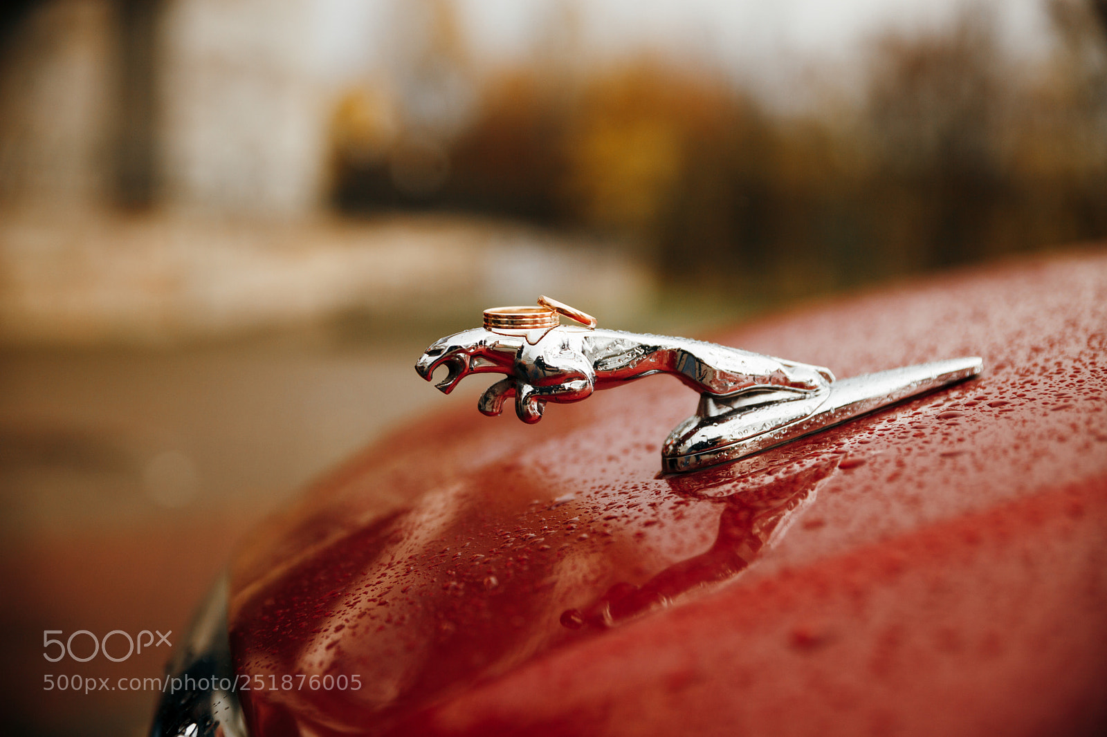 Canon EOS 5D Mark II sample photo. Wed photography