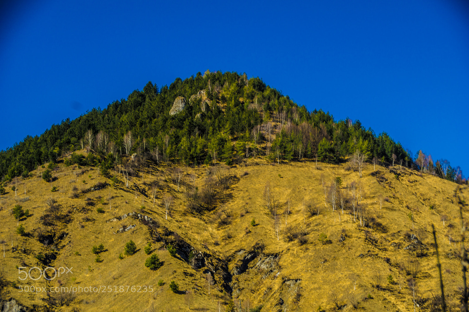Sony a5100 sample photo. Walking to rusio photography