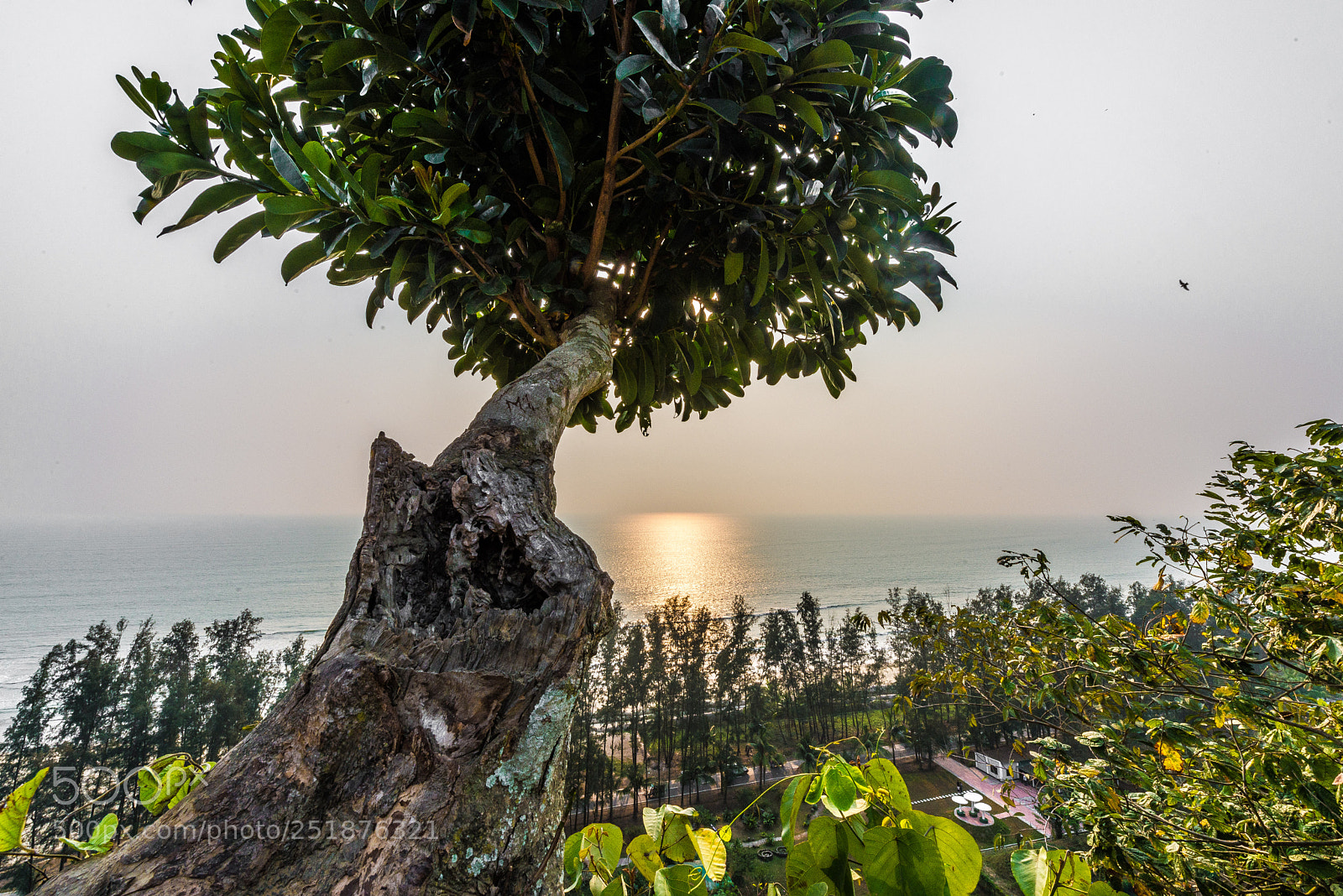Nikon D610 sample photo. Md nayeem beach himchari photography