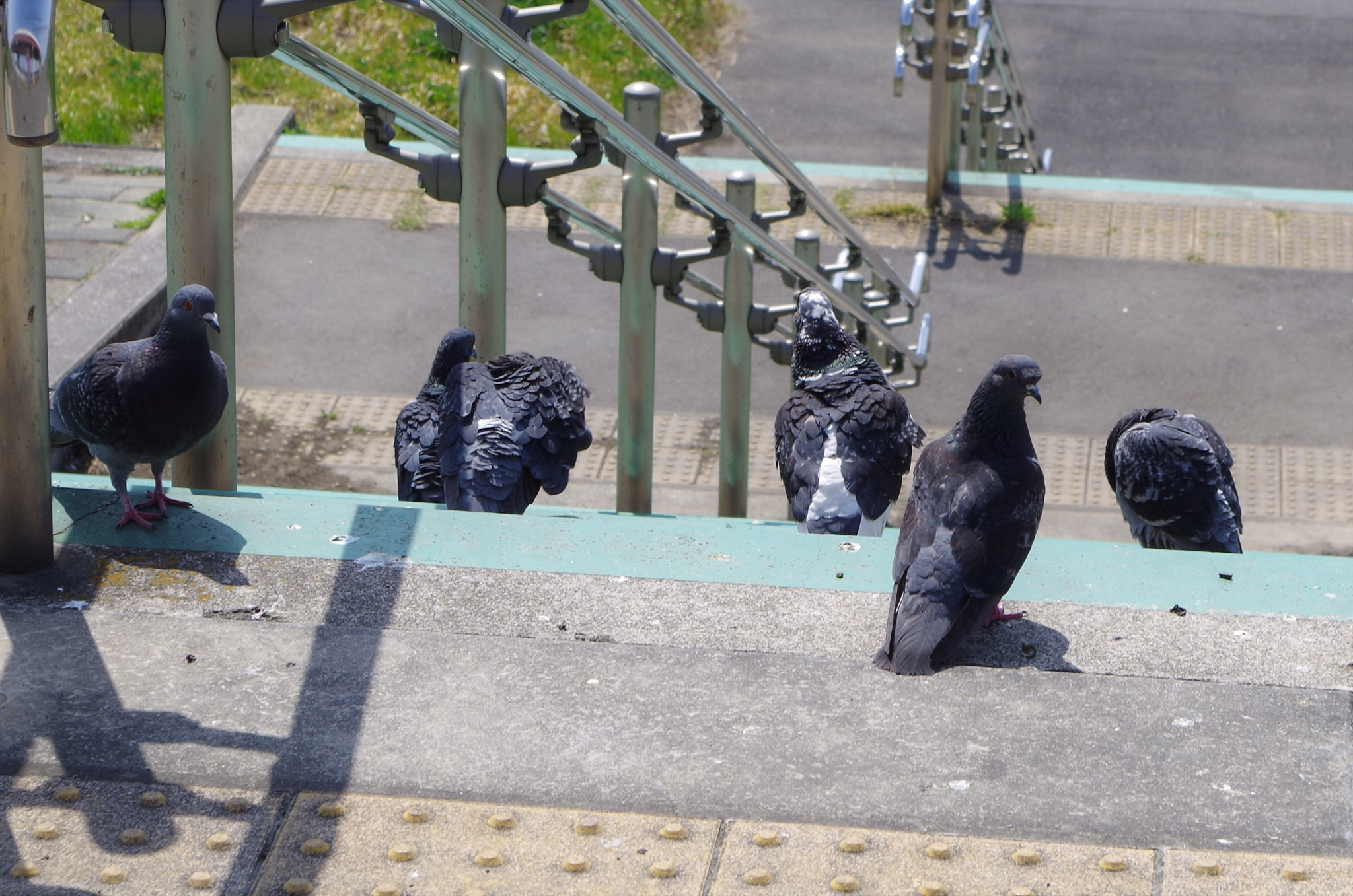 smc PENTAX-DA L 18-55mm F3.5-5.6 sample photo. Freedom? photography
