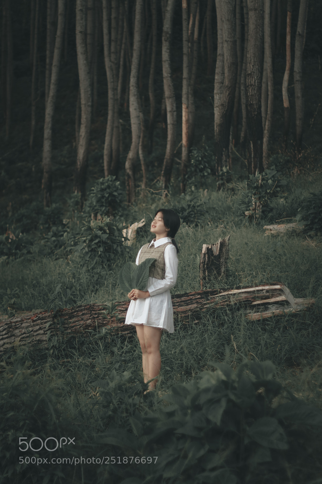 Canon EOS 80D sample photo. Untitled photography