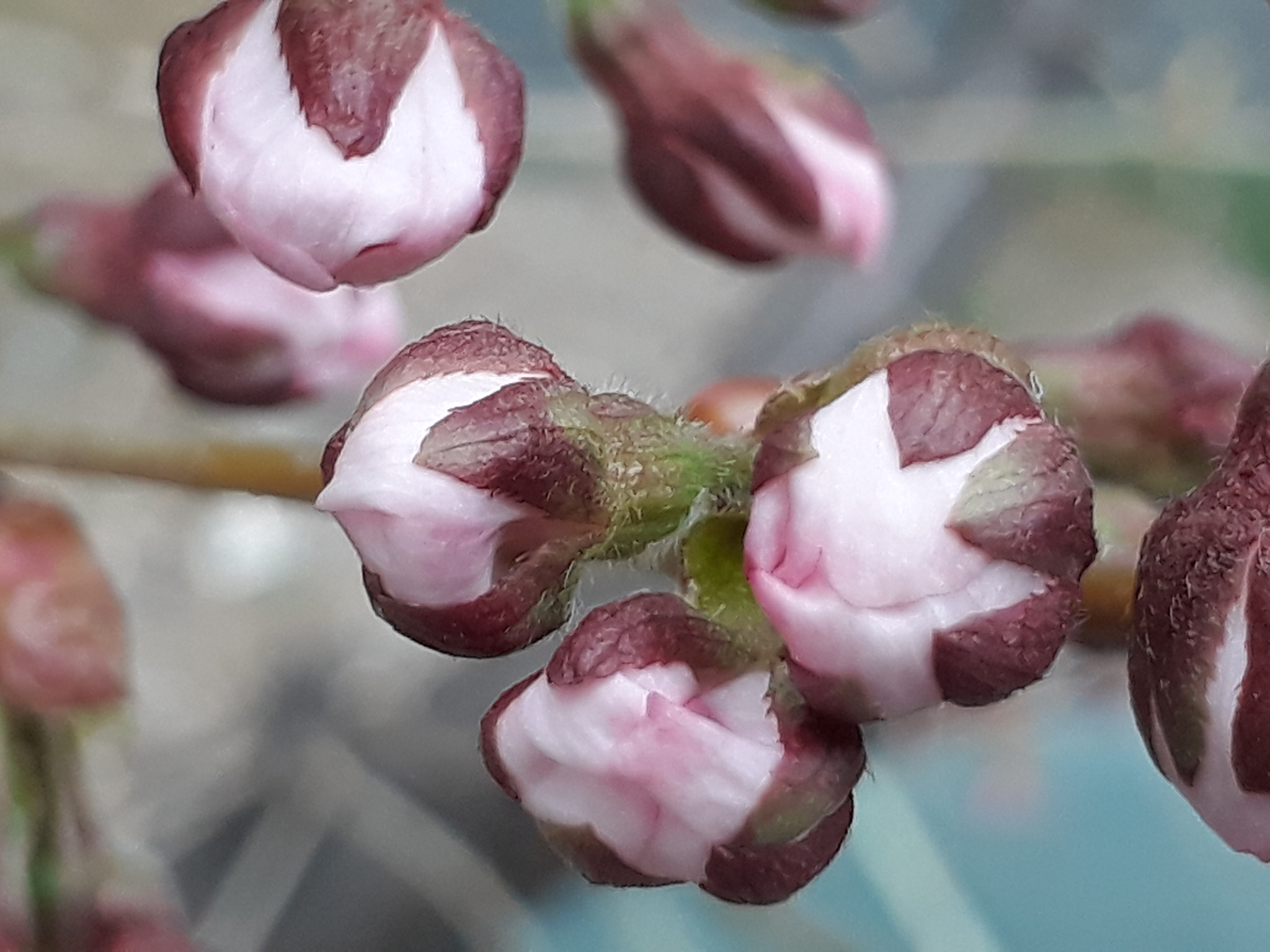 Samsung Galaxy On7(2016) sample photo