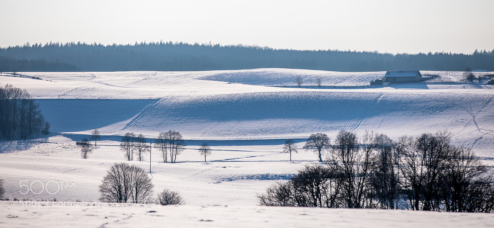 Canon EOS 5D Mark IV sample photo. Winter photography