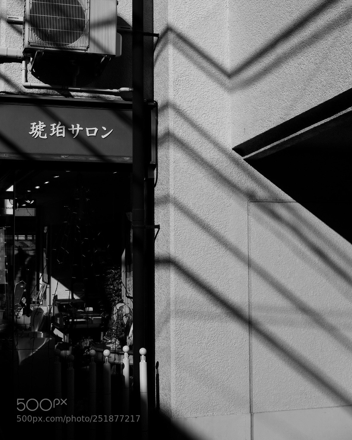 Fujifilm X-E2 sample photo. Slanting rays x-e2 photography
