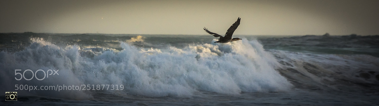 Nikon D7200 sample photo. Heron passing by photography