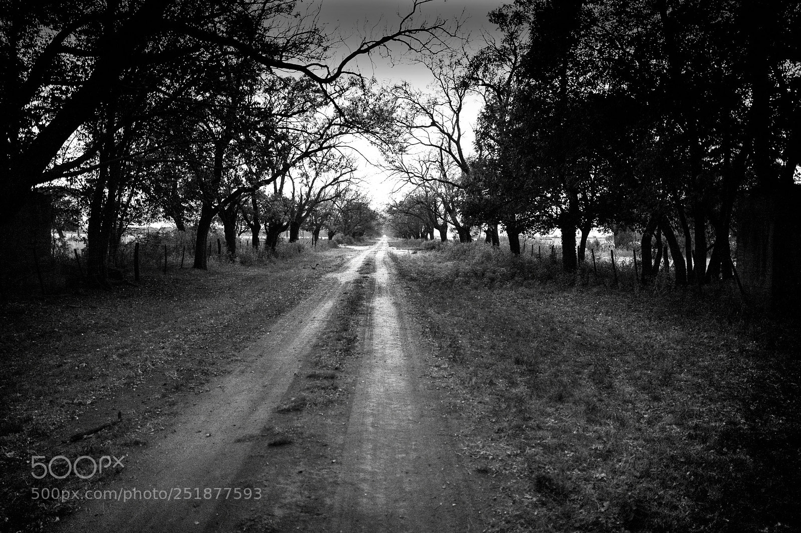 Leica Q (Typ 116) sample photo. Amanecer sobre el camino photography