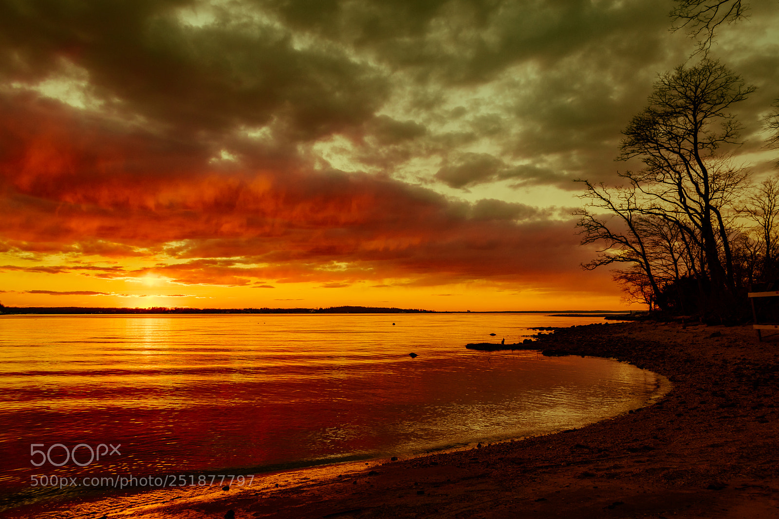Nikon D500 sample photo. Golden sunset..! photography