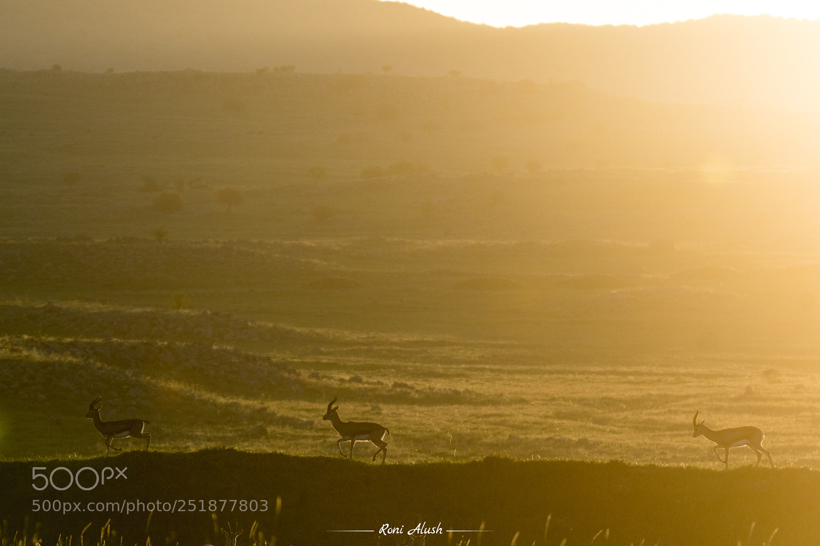 Nikon D500 sample photo. Sunrise photography