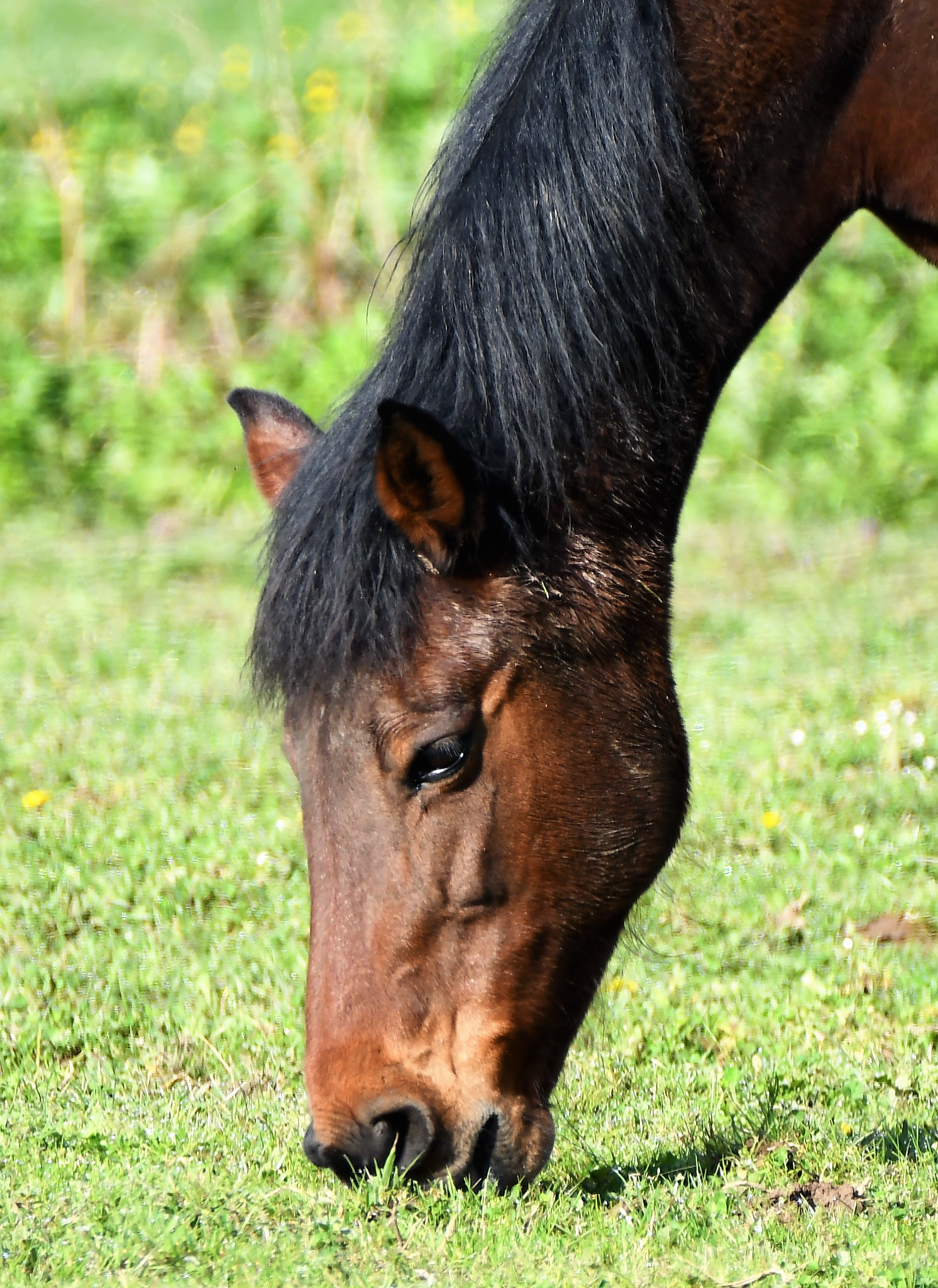 Nikon D7500 sample photo. 397.jpg photography