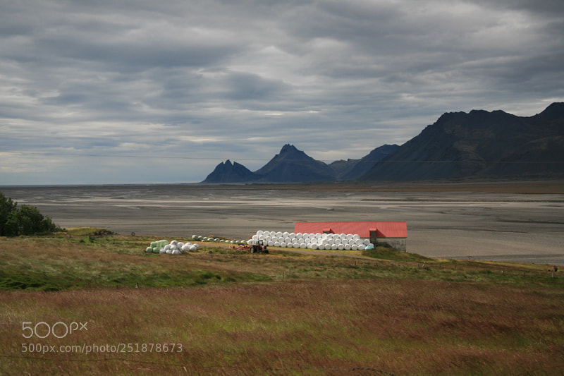 Canon EOS 5D sample photo. 425333.jpg photography