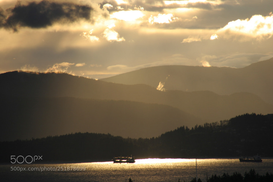 Canon EOS 20D sample photo. 487439.jpg photography