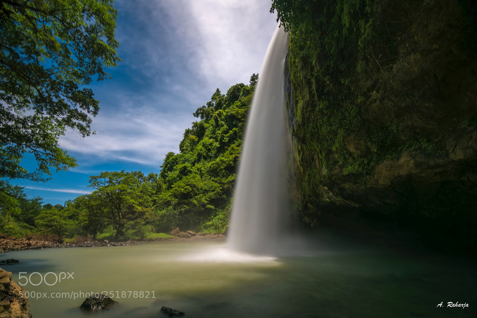 Nikon D810 sample photo. Half blue photography