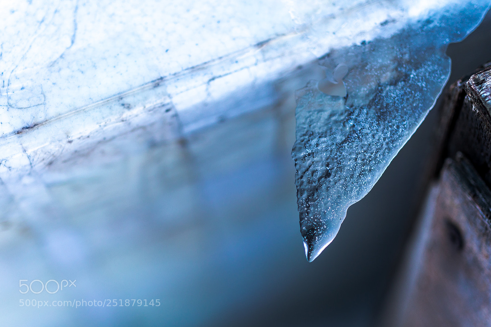 Canon EOS 5D Mark IV sample photo. Knife photography