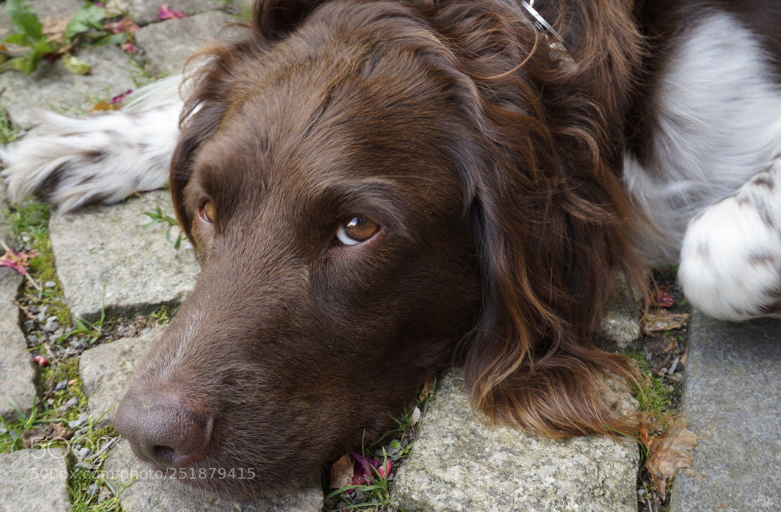 Sony Alpha a5000 (ILCE 5000) sample photo. Carlo photography