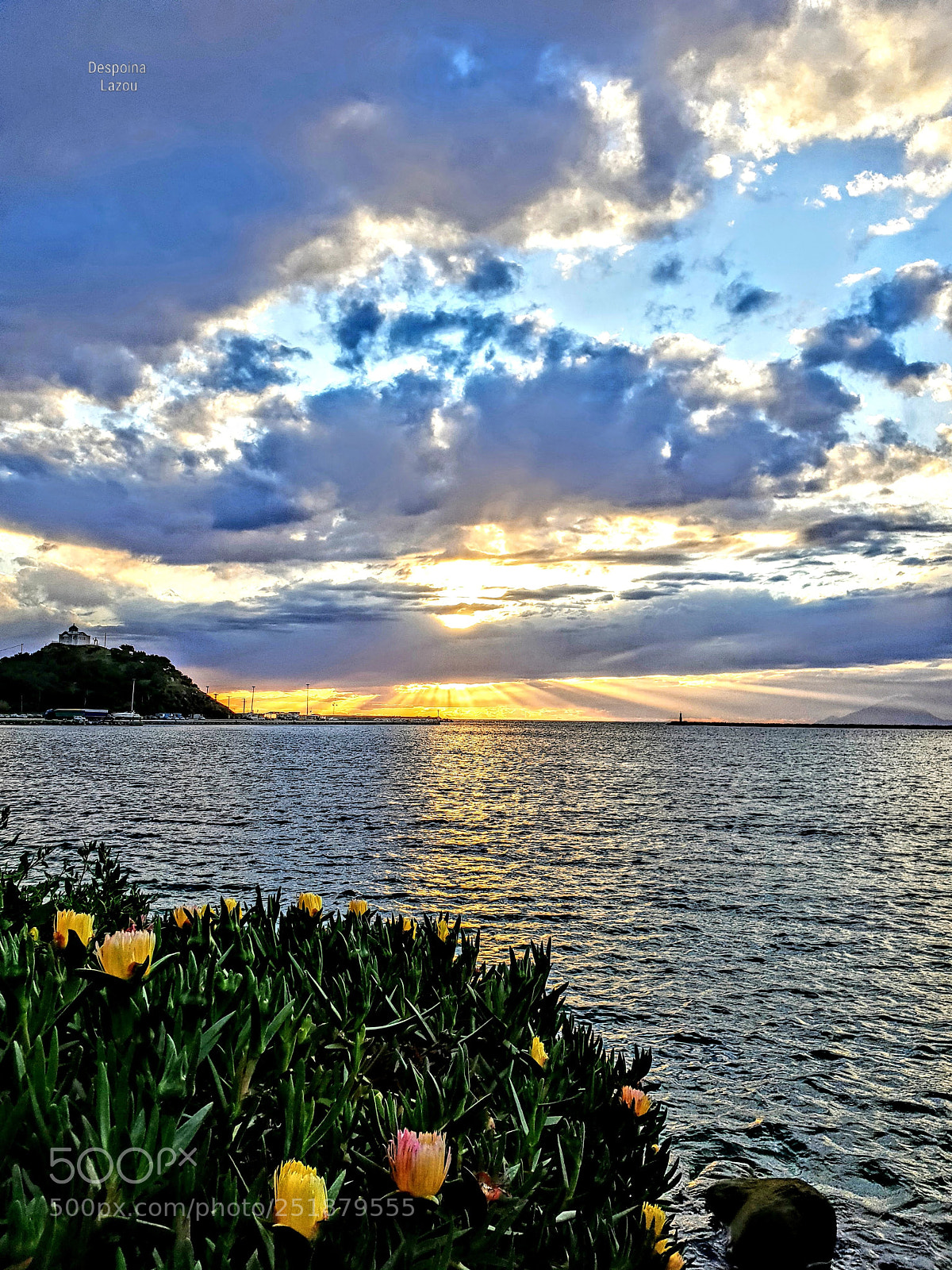 Samsung Galaxy S9+ sample photo. Untitled photography