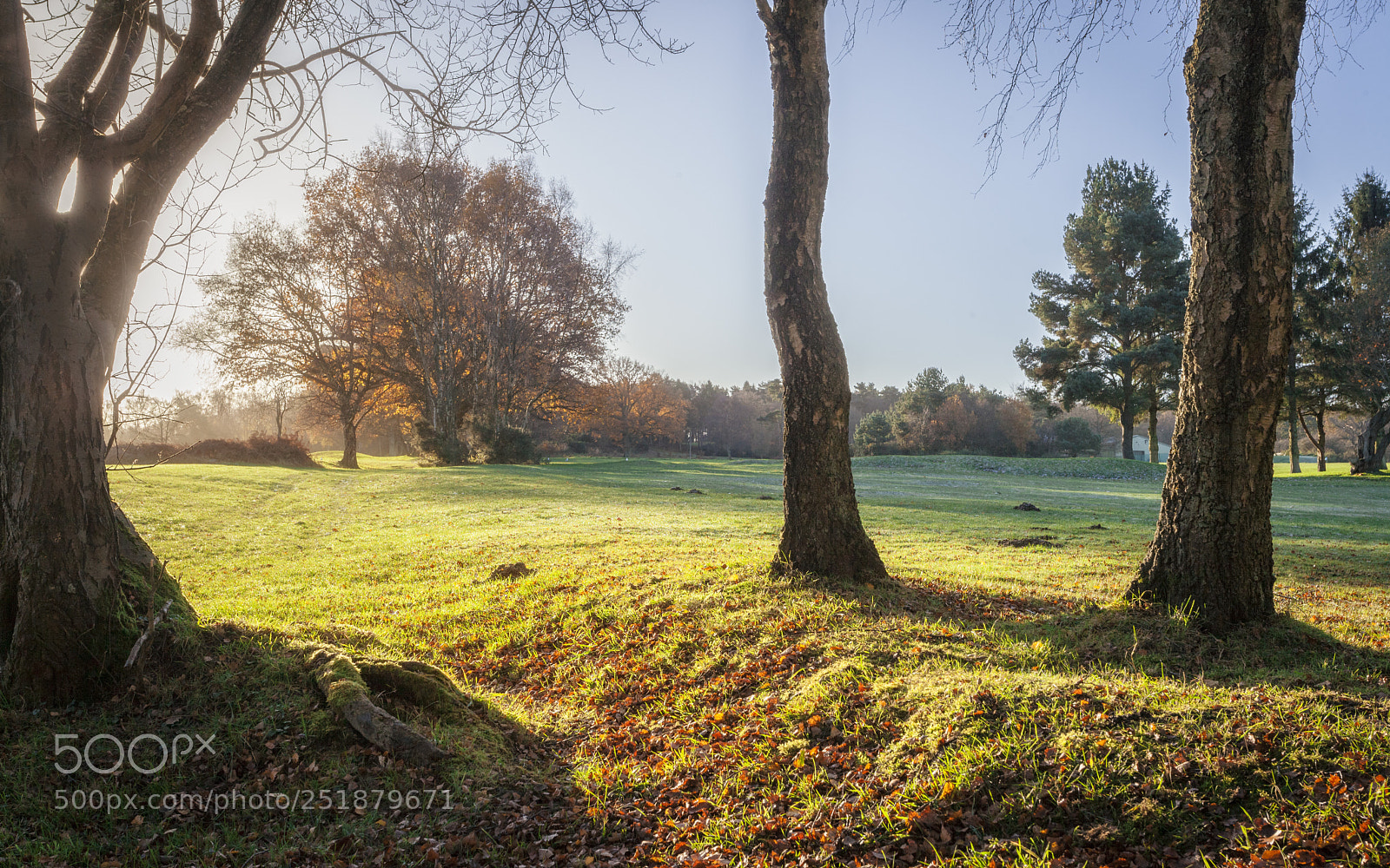 Canon EOS 5D Mark II sample photo. Park view photography