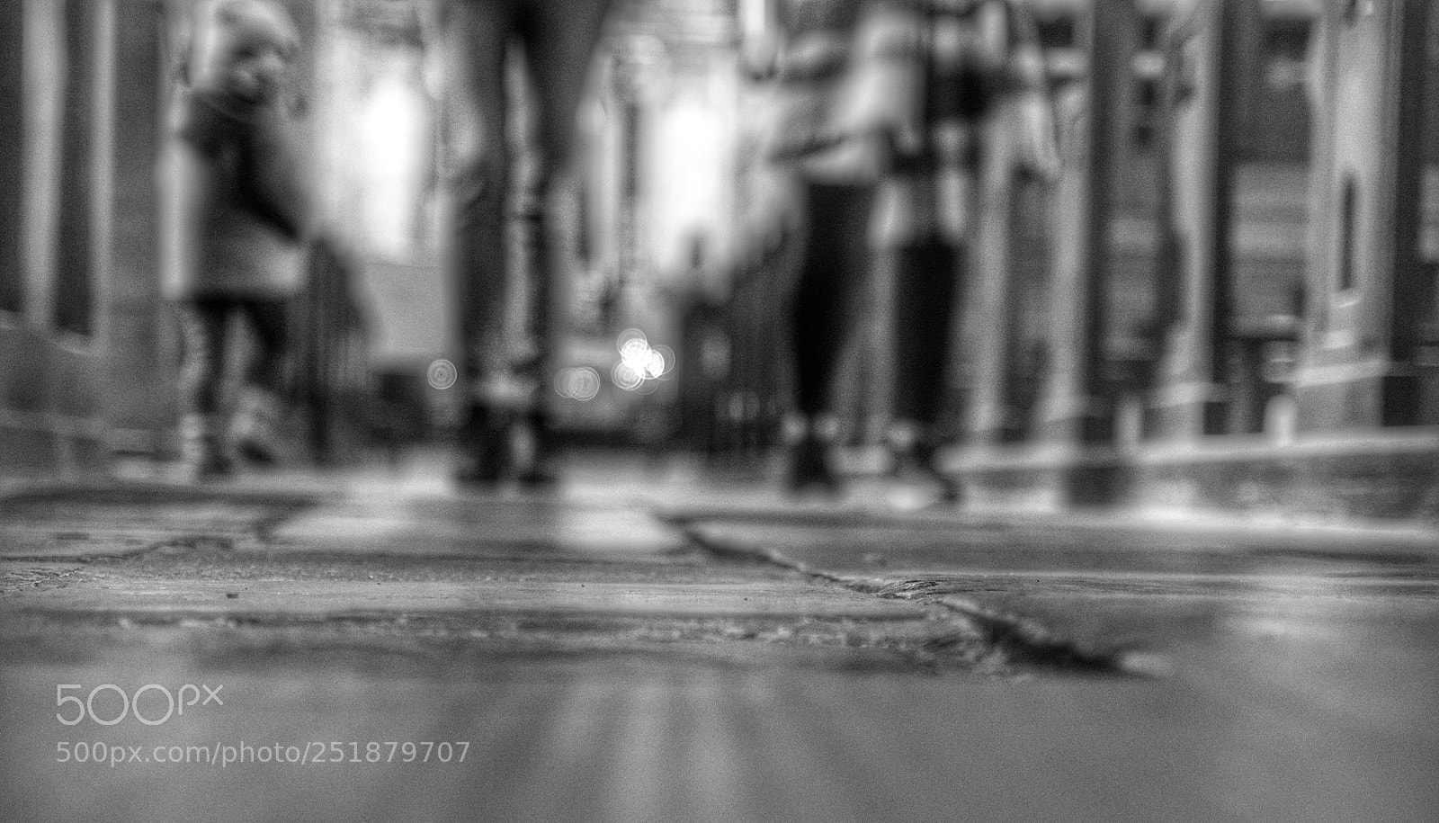 Pentax K-50 sample photo. Untitled photography
