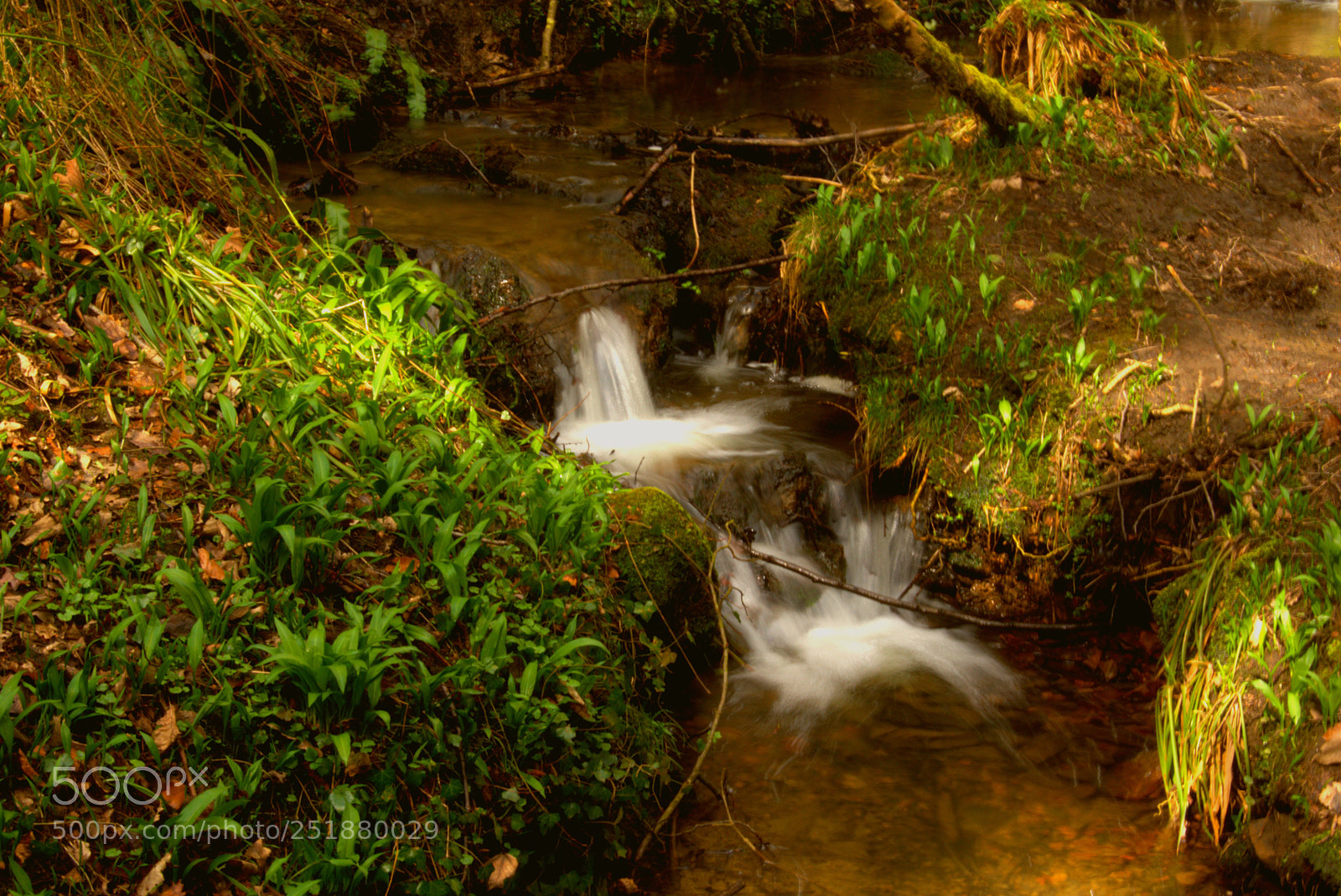 Sony SLT-A65 (SLT-A65V) sample photo. Silky wonderland photography