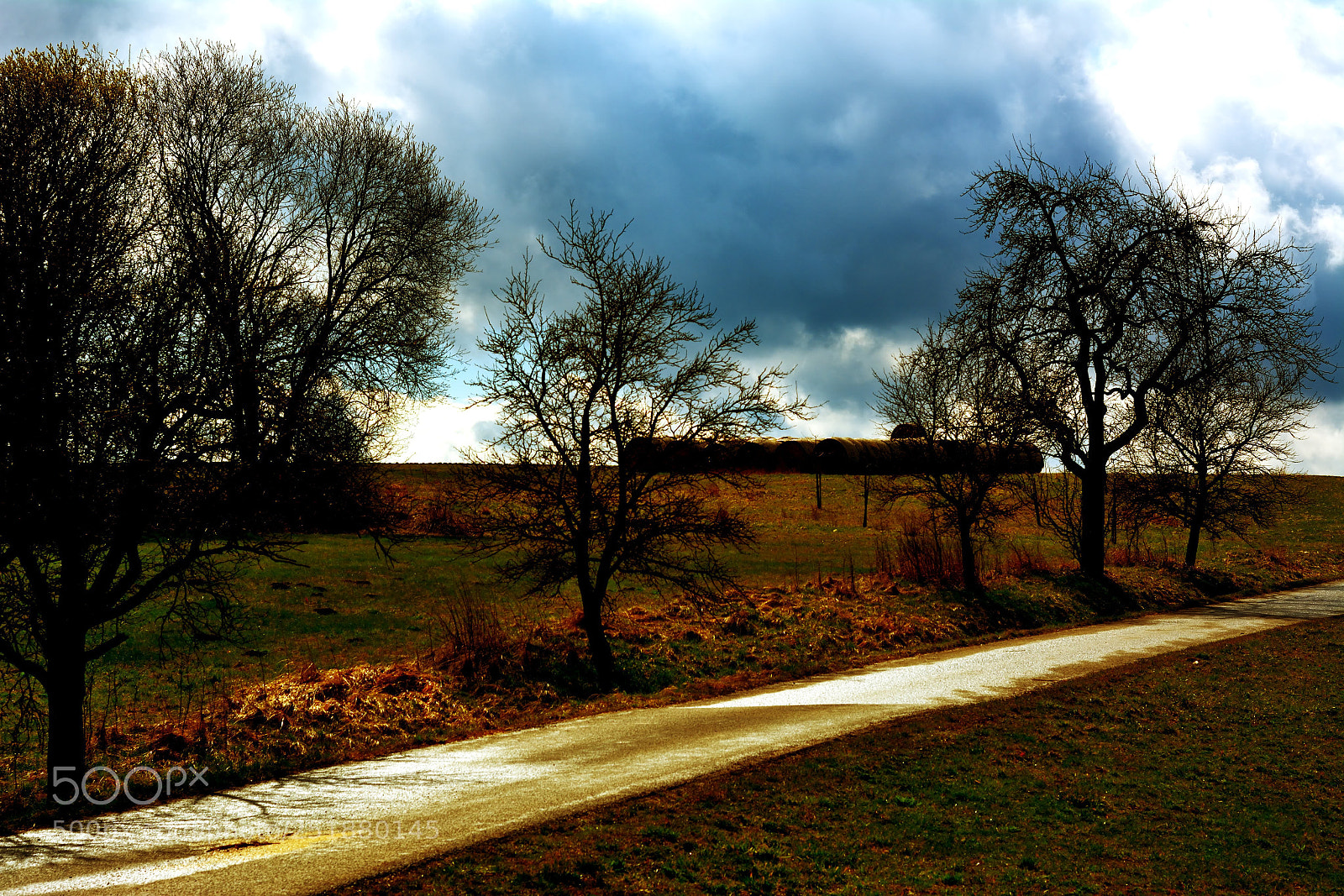 Nikon D7100 sample photo. Way around home photography