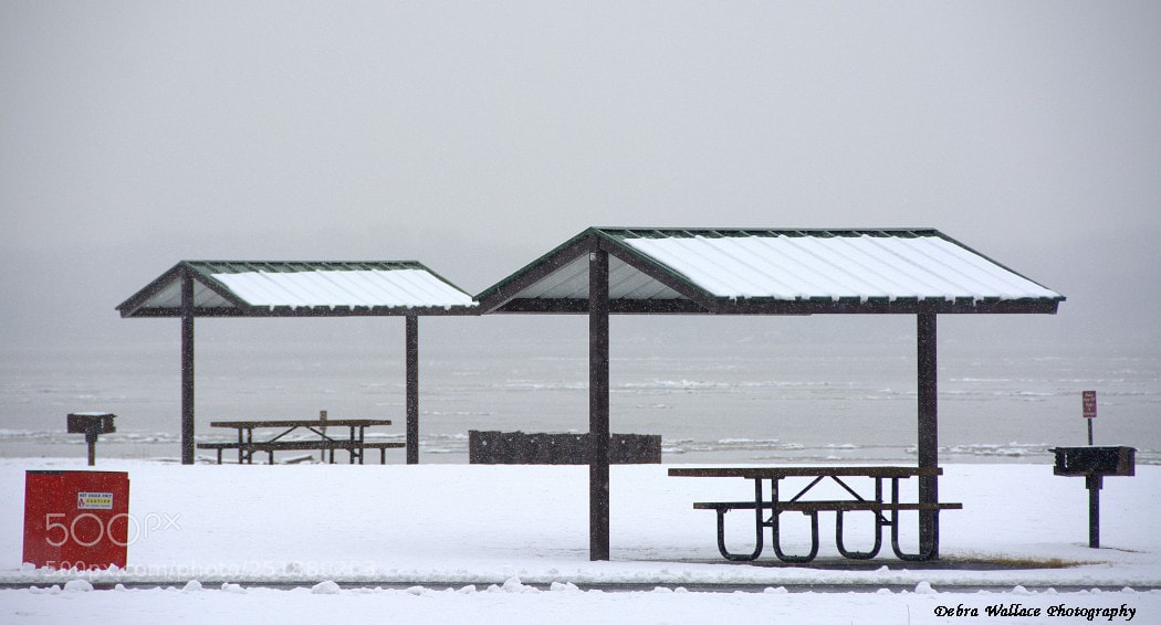 Nikon D7100 sample photo. Haverstraw bay park in photography