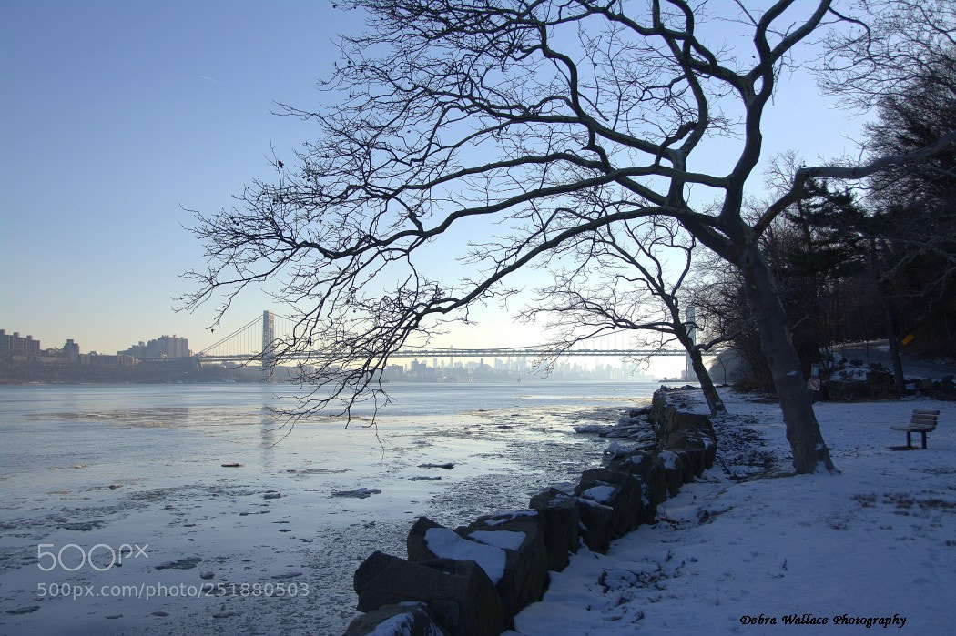Nikon D7100 sample photo. Palisades park at the photography