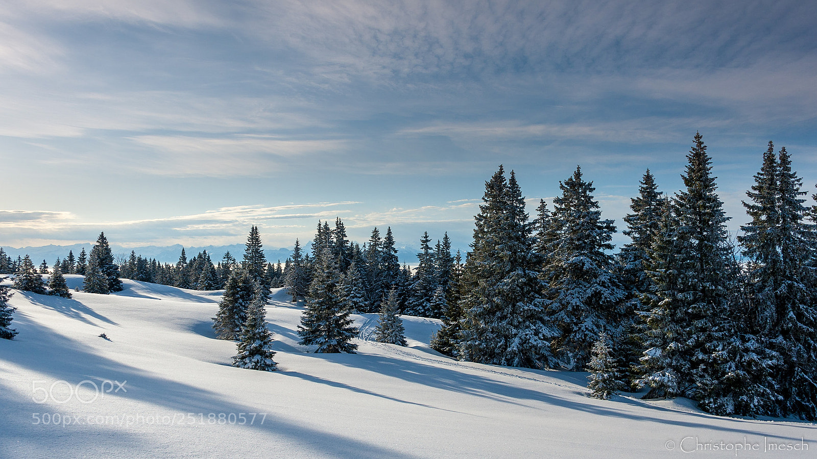 Nikon D700 sample photo. Jura parc vaudois. photography