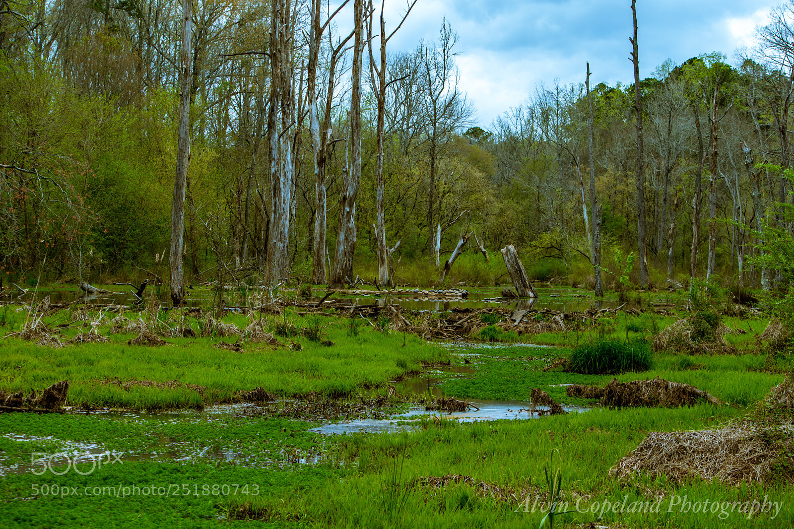 Nikon D7200 sample photo. Wetlands 3 photography