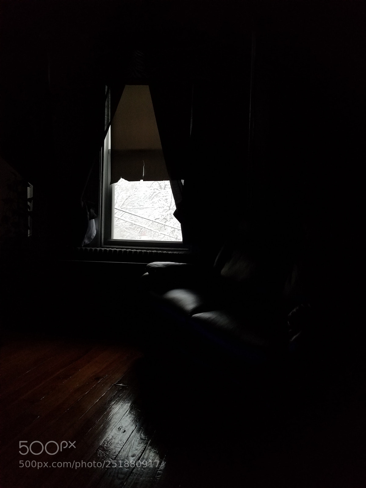 Samsung Galaxy S8+ sample photo. Untitled photography