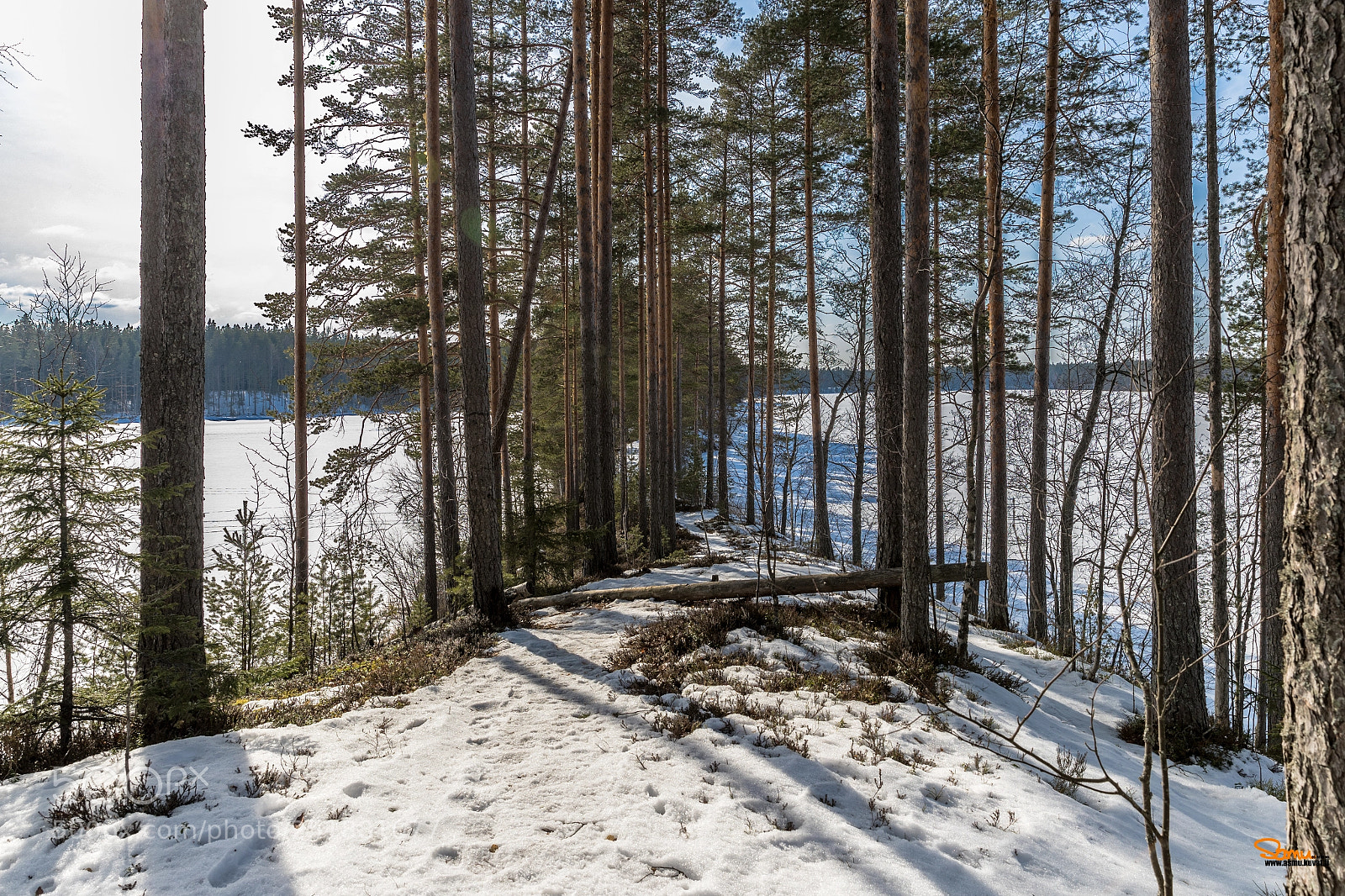 Canon EOS-1D X Mark II sample photo. Hiking in iso-melkutin lake photography