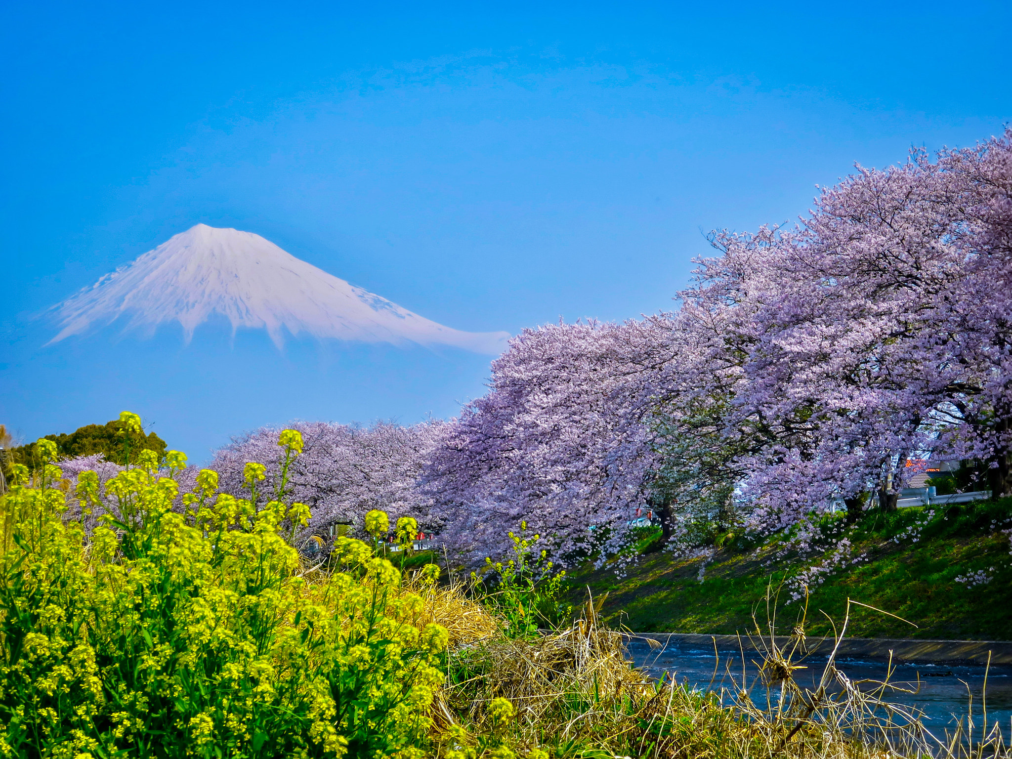 Canon PowerShot S120 sample photo. Mt. fuji in spring photography