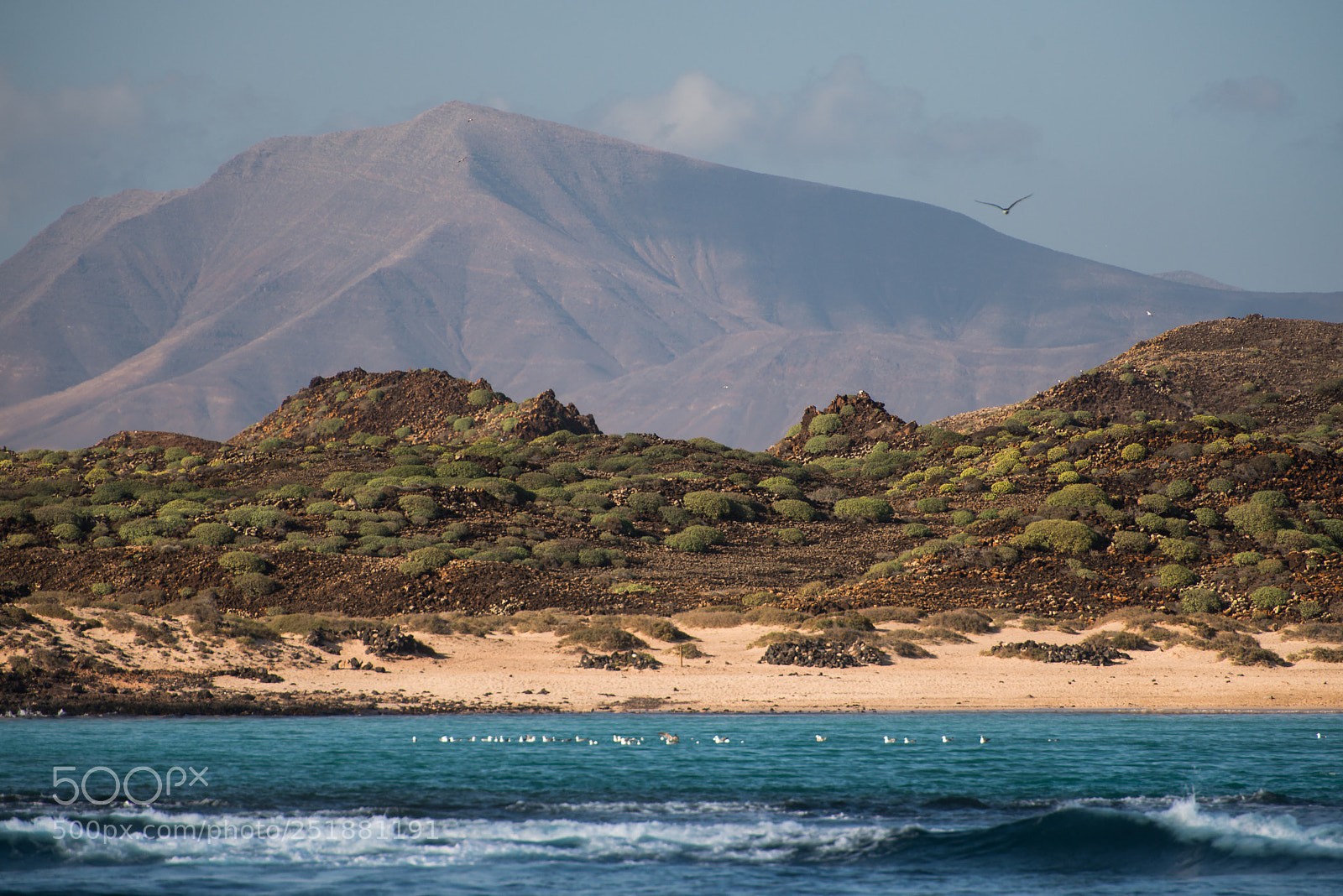 Nikon D800 sample photo. Lobos and lanzarote photography