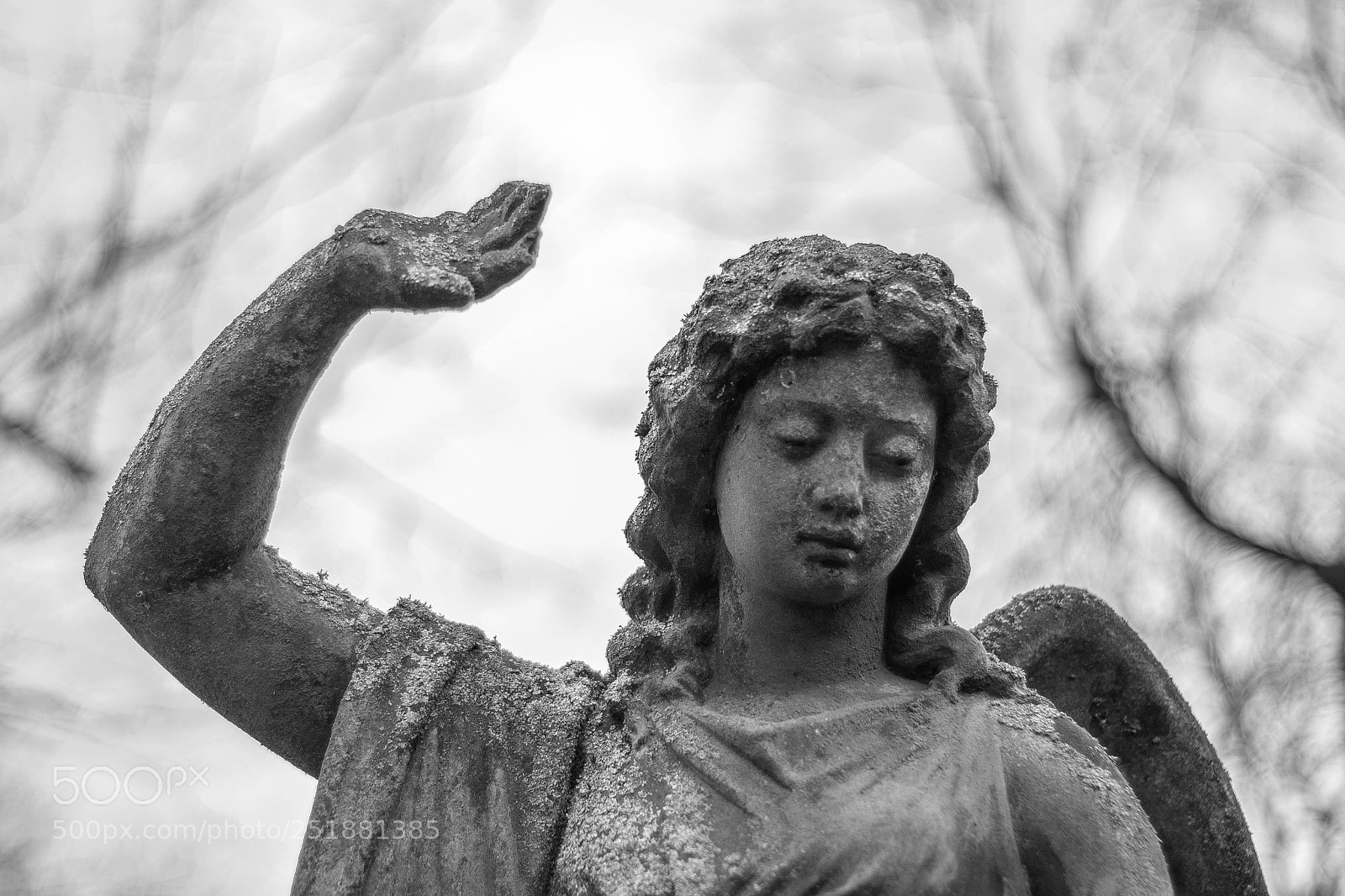 Nikon D3100 sample photo. Statue photography