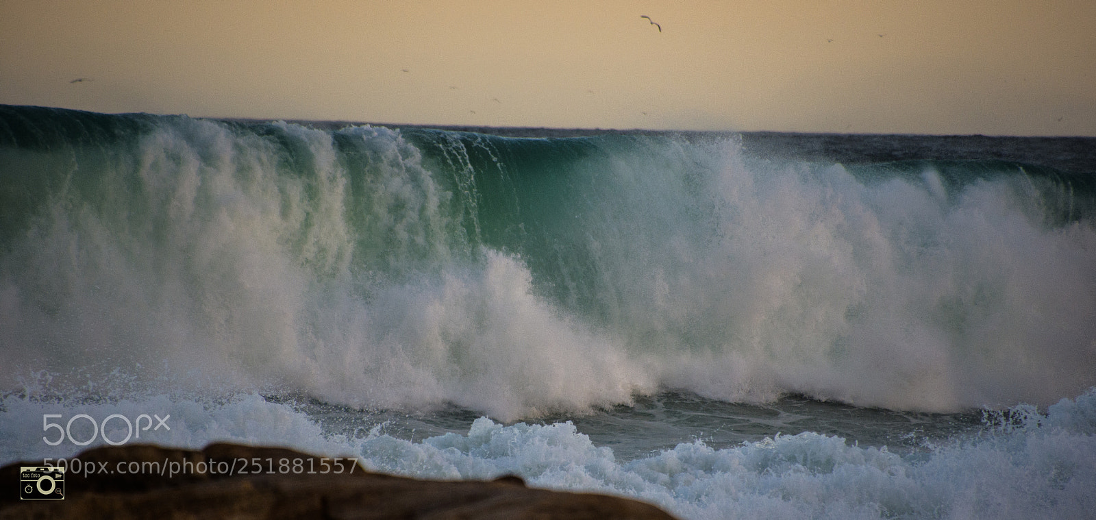 Nikon D7200 sample photo. Just a split second photography